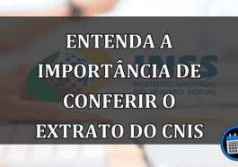 ENTENDA A IMPORTÂNCIA DE CONFERIR O EXTRATO DO CNIS