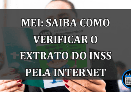 MEI: SAIBA COMO VERIFICAR O EXTRATO DO INSS PELA INTERNET