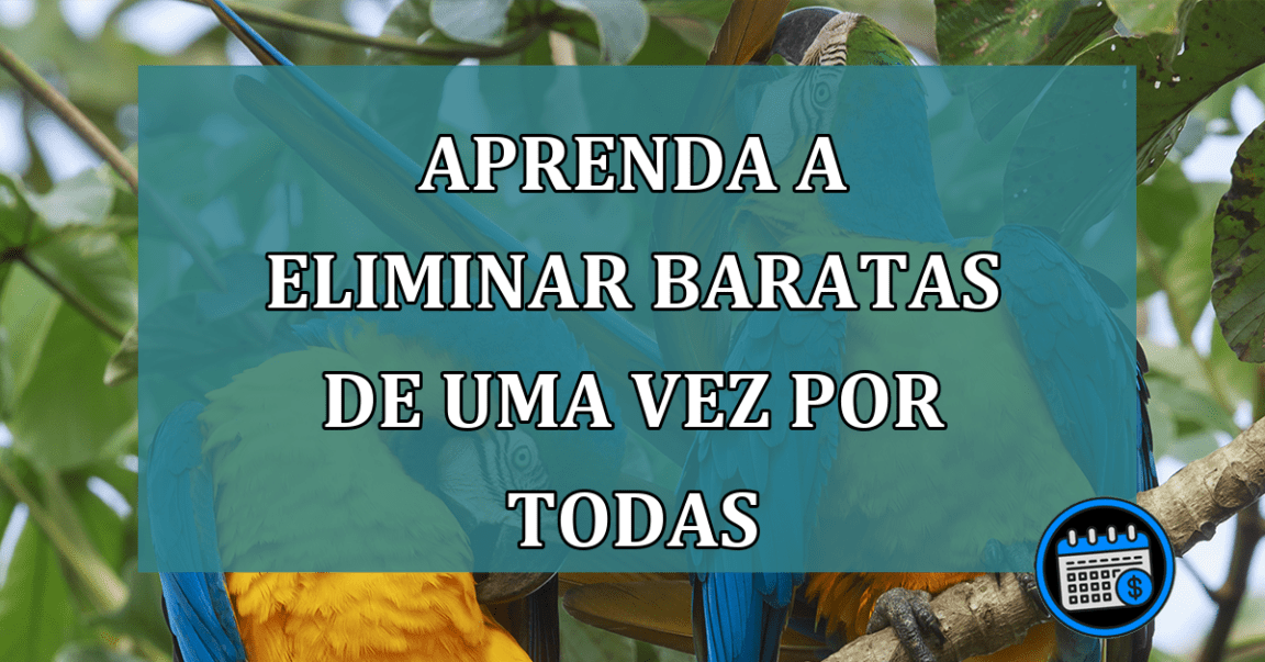 Dica: Como eliminar as baratas de uma vez por todas!