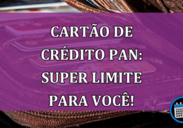 Cartão de crédito PAN: Super Limite Para Você!