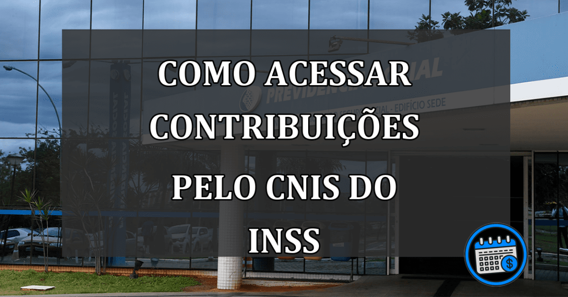 Como acessar CONTRIBUIÇÕES pelo CNIS do INSS