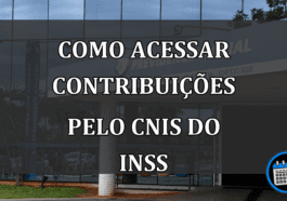 Como acessar CONTRIBUIÇÕES pelo CNIS do INSS