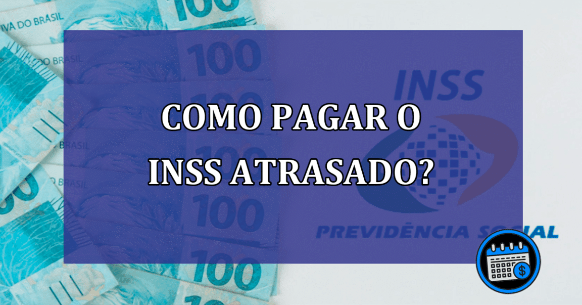 Como o contribuinte individual pode pagar o INSS atrasado?