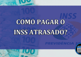 Como o contribuinte individual pode pagar o INSS atrasado?