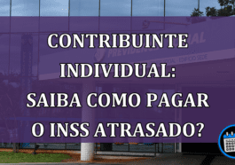 Contribuinte Individual: saiba como pagar o INSS atrasado?