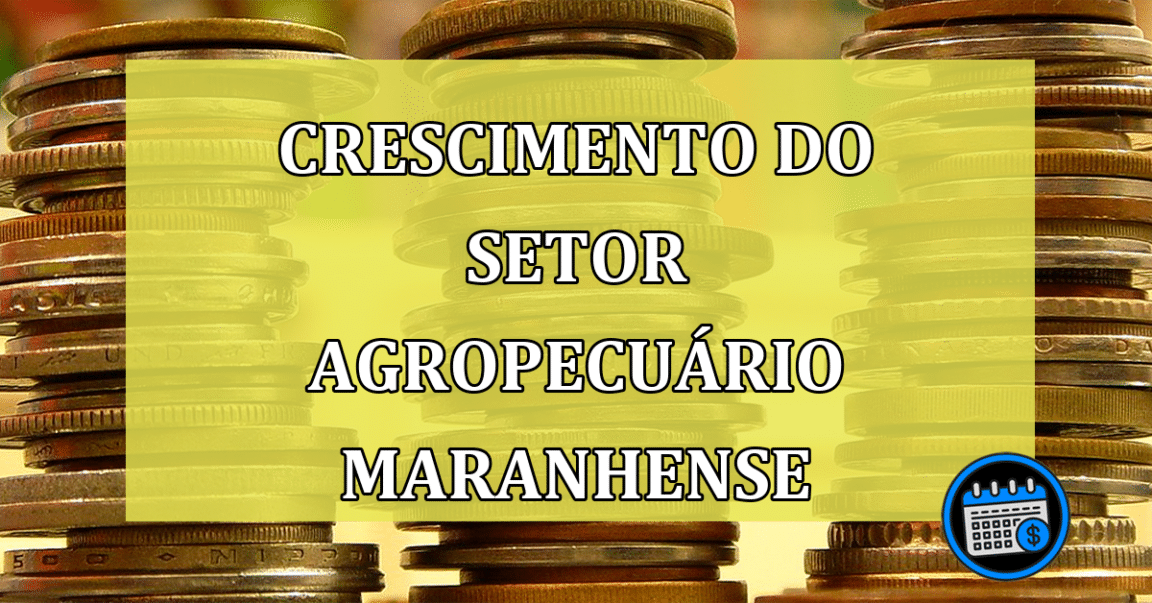 Setor agropecuário maranhense mostra bom crescimento