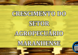 Setor agropecuário maranhense mostra bom crescimento