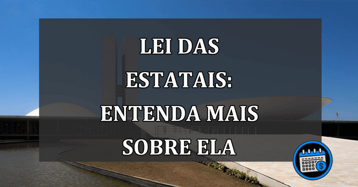 LEI DAS ESTATAIS: entenda mais sobre ela