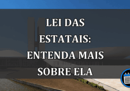 LEI DAS ESTATAIS: entenda mais sobre ela