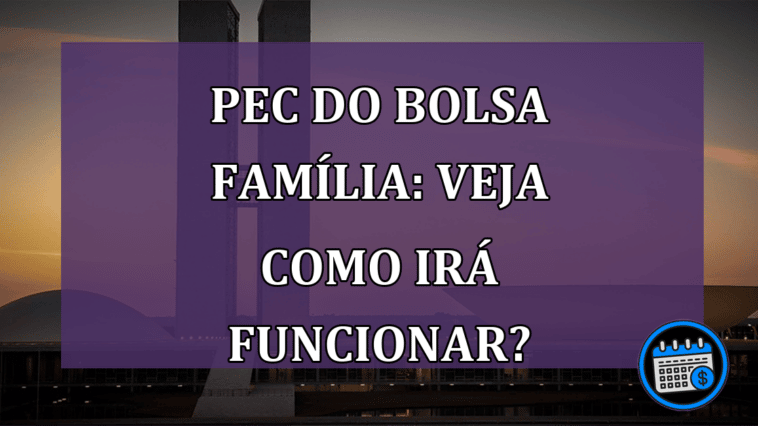 PEC do Bolsa Família: como irá funcionar?