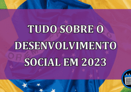 Relatório final de transição sobre desenvolvimento social!