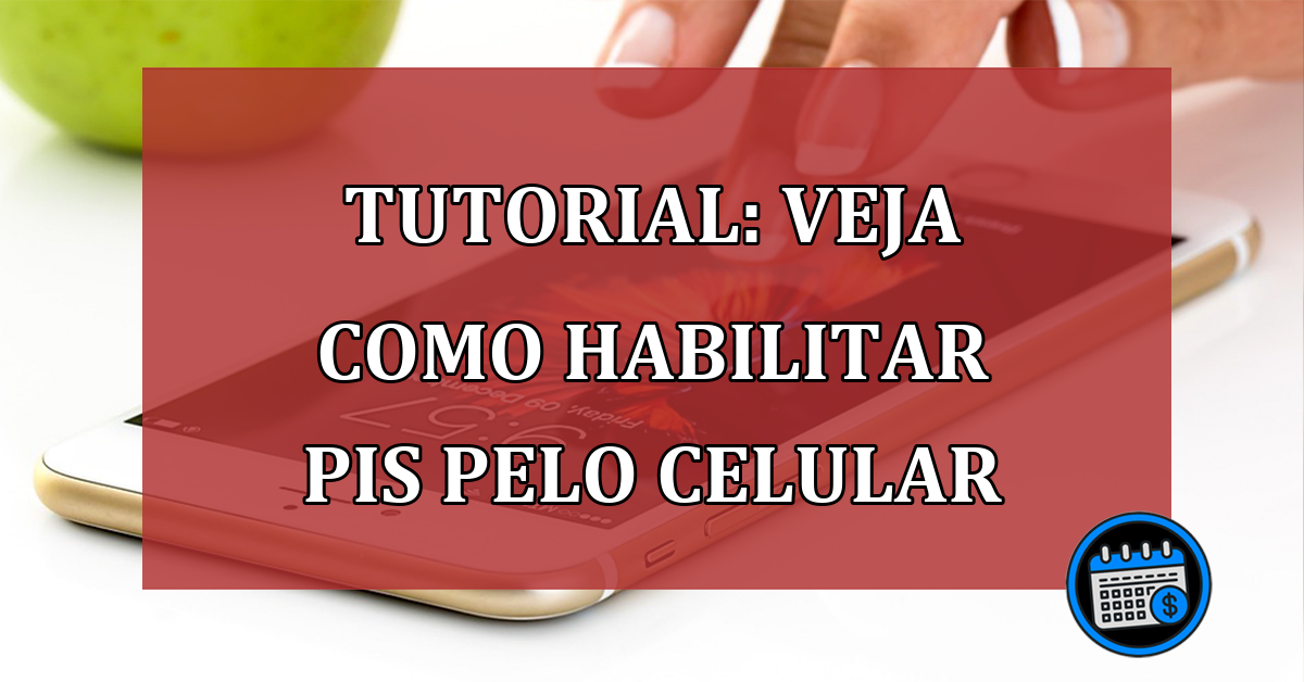 Tutorial: Veja como habilitar PIS pelo Celular