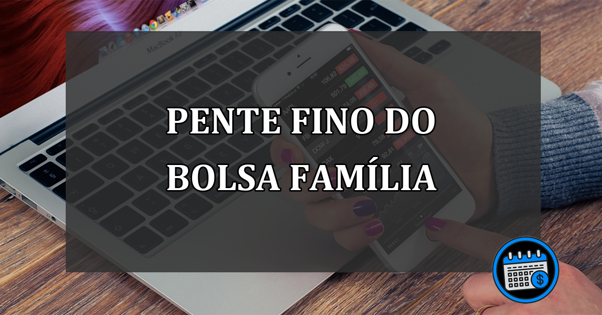 pente fino do bolsa família