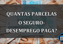 Saiba quantos pagamentos de seguro-desemprego o cidadão recebe