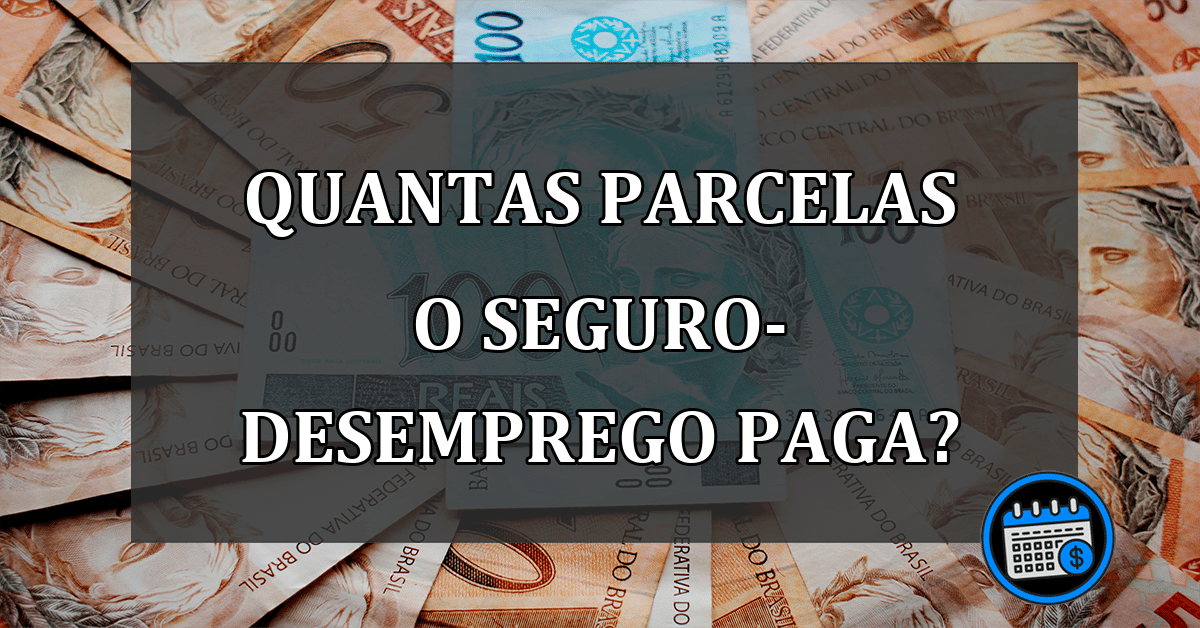 Saiba quantos pagamentos de seguro-desemprego o cidadão recebe