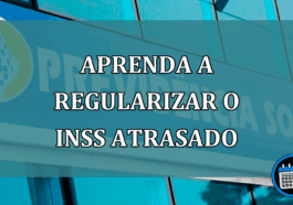 Aprenda a regularizar o INSS atrasado