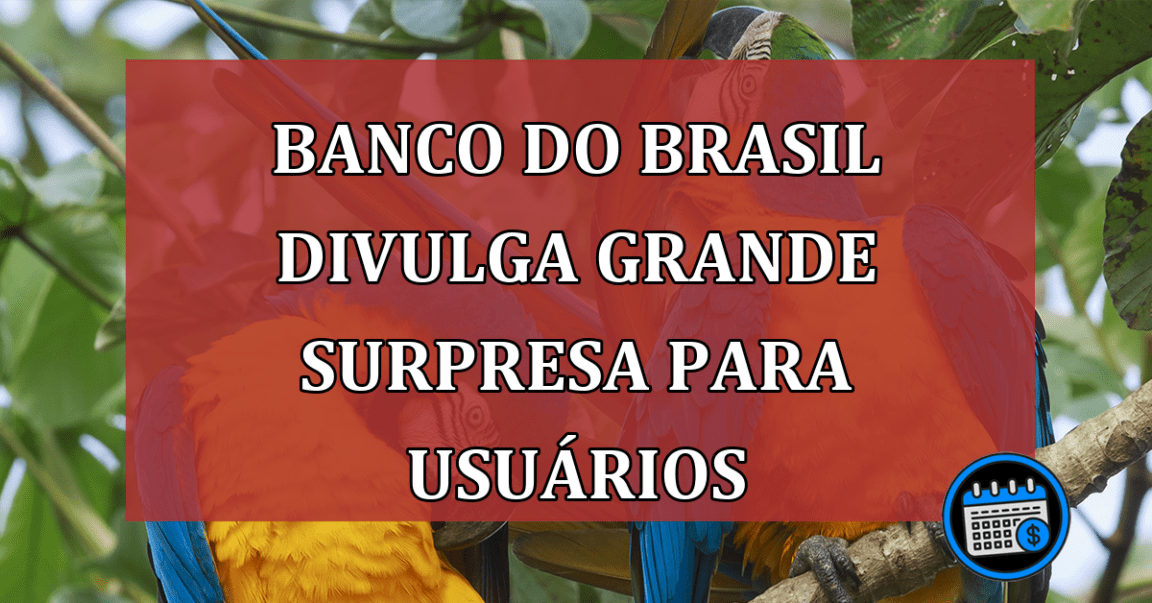 Banco do Brasil divulga grande surpresa para usuários