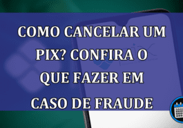 Como Cancelar Um Pix? Confira O Que fazer Em Caso De Fraude.