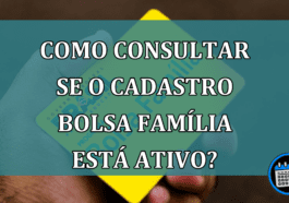 Como consultar se o cadastro Bolsa Familia esta ativo