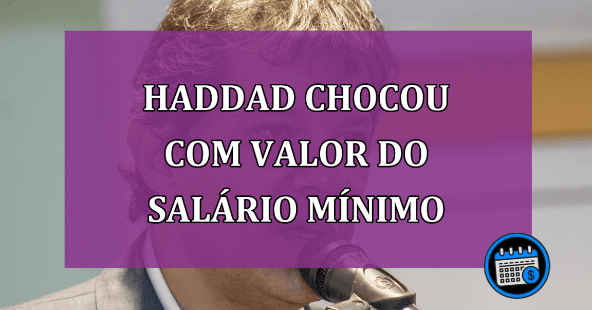 Haddad CHOCOU a Respeito do Valor do Salário Mínimo