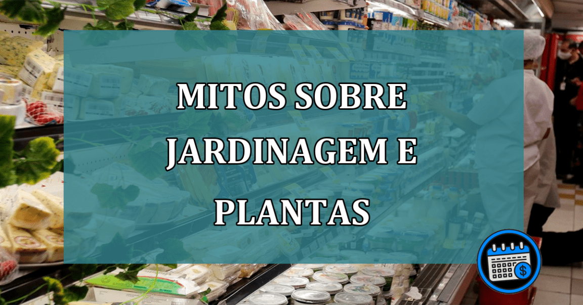 Mitos sobre jardinagem e plantas