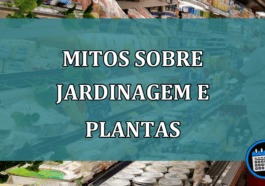 Mitos sobre jardinagem e plantas