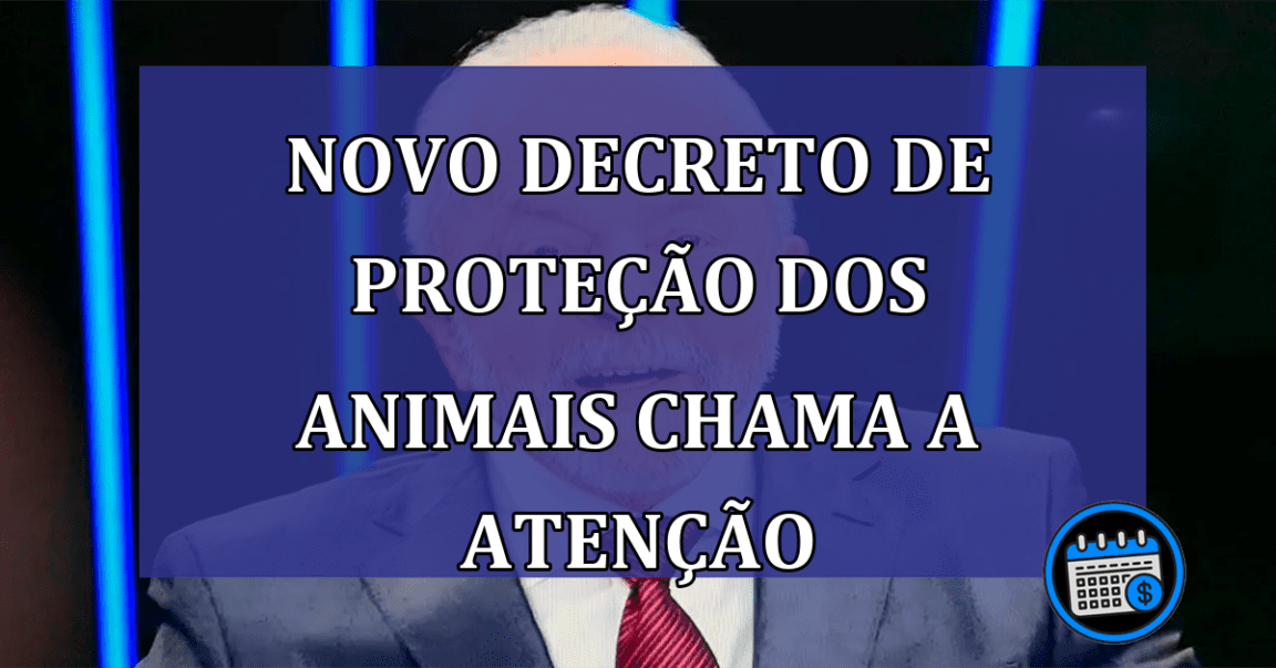 Novo decreto de proteção dos animais chama a atenção