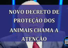 Novo decreto de proteção dos animais chama a atenção