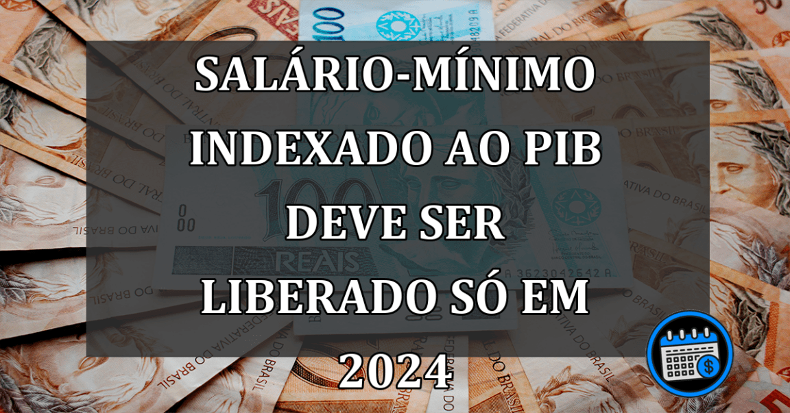 Salário-mínimo indexado ao PIB deve ser liberado só em 2024