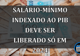 Salário-mínimo indexado ao PIB deve ser liberado só em 2024