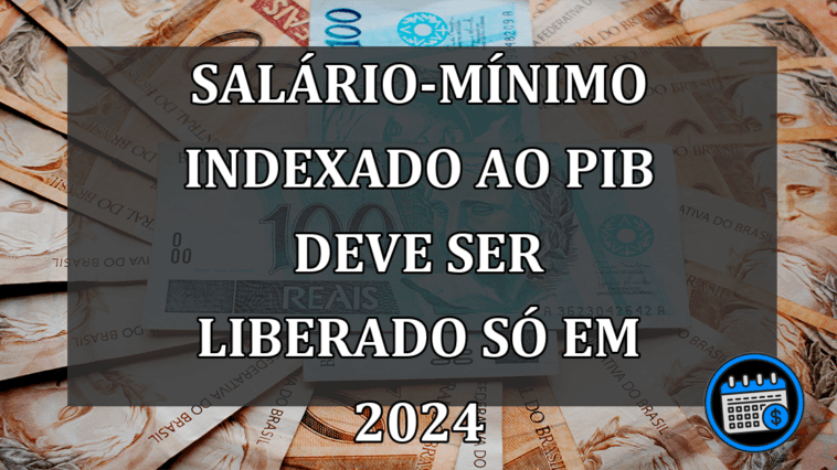 Salário-mínimo indexado ao PIB deve ser liberado só em 2024