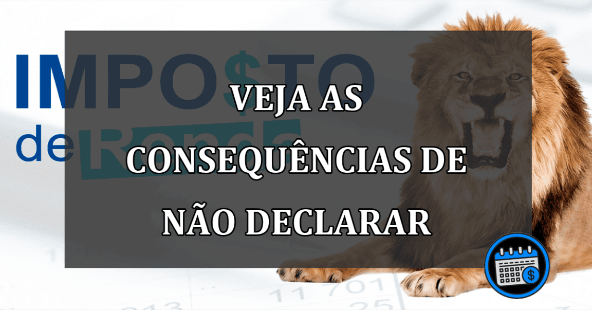 VEJA AS CONSEQUÊNCIAS DE NÃO DECLARAR