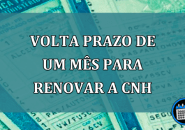 VOLTA Prazo de um mês para renovar a CNH