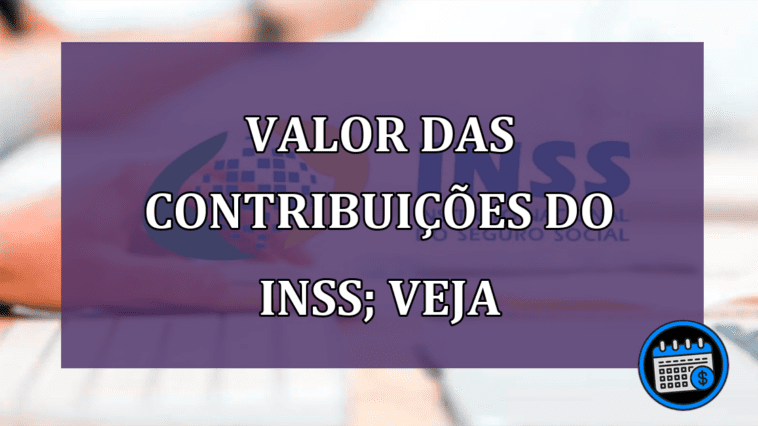 Valor das contribuições do INSS; veja as mudanças