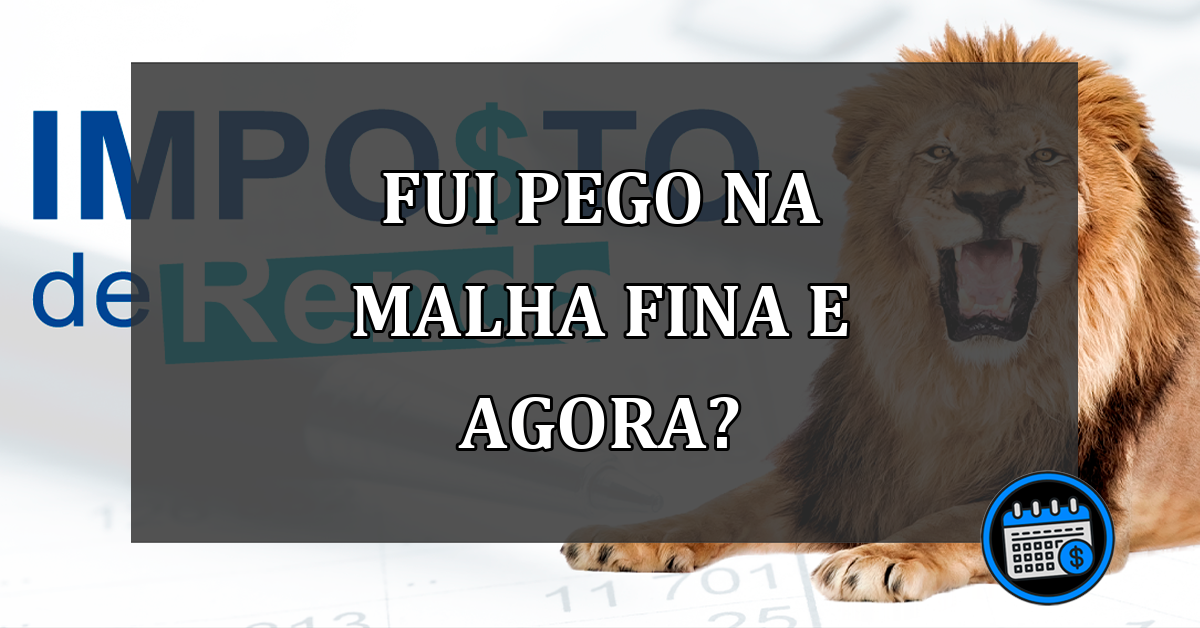 fui pego na malha fina e agora?