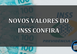 novos valores do INSS confira