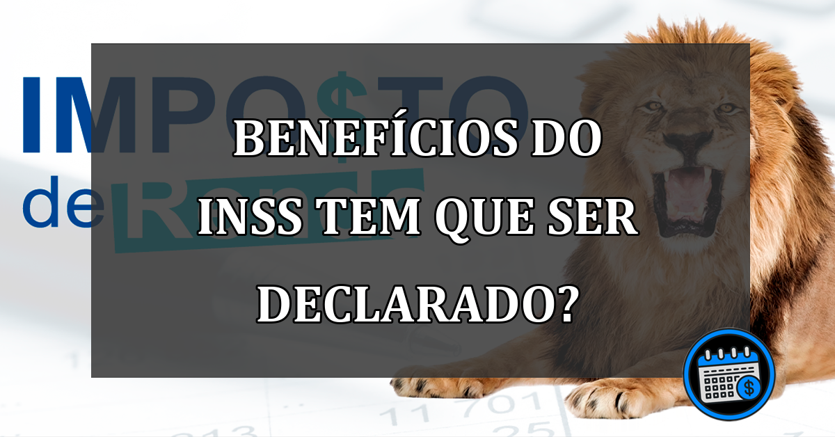 BENEFÍCIOS DO INSS TEM QUE SER DECLARADO?