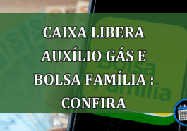 Beneficiários já podem consultar o Caixa Tem para ver saldo co Bolsa Família e Auxílio Gás