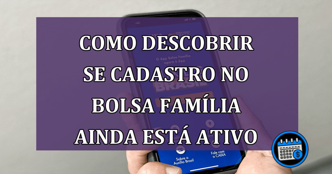 Como saber se meu cadastro no Bolsa Família ainda está ativo?