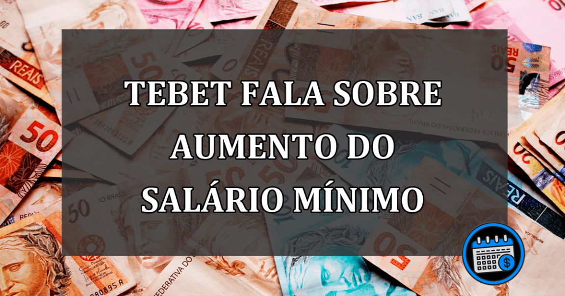 Tebet Fala Sobre Aumento Do Salário Mínimo.