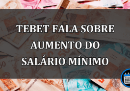 Tebet Fala Sobre Aumento Do Salário Mínimo.