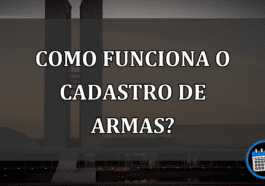 como funciona o cadastro de armas?