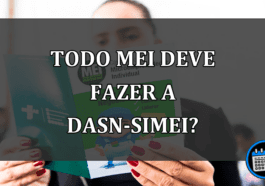 todo mei deve fazer a DASN-SIMEI?