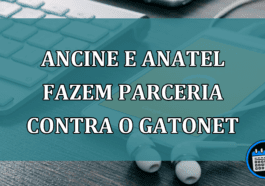 Ancine e Anatel fazem parceria contra o gatonet