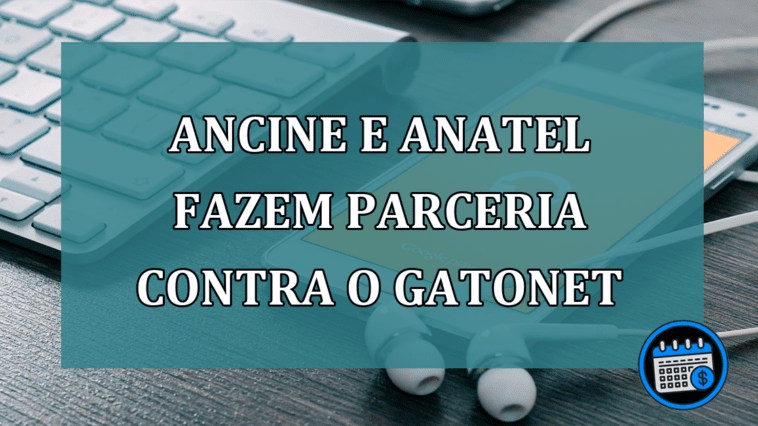 Ancine e Anatel fazem parceria contra o gatonet