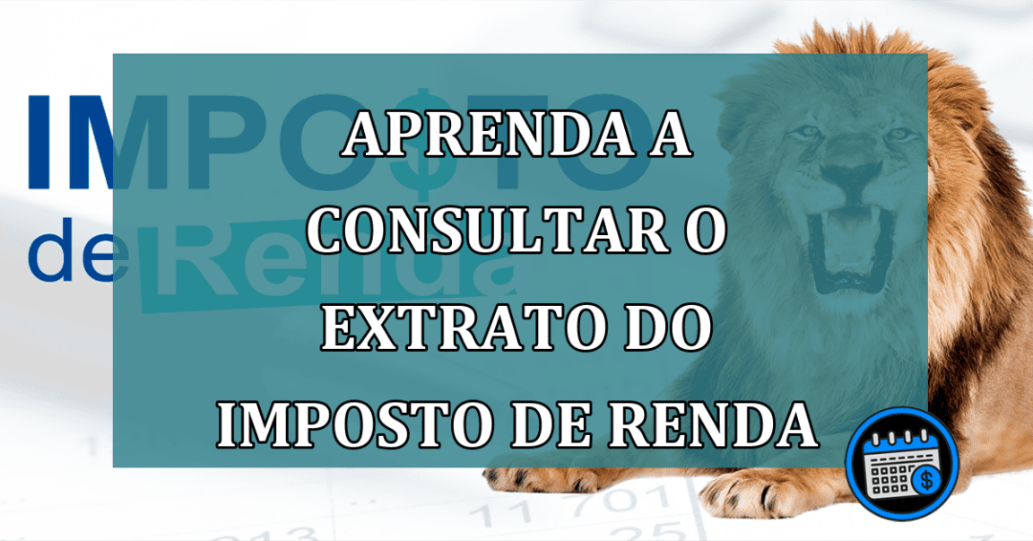 Aprenda a consultar o extrato do Imposto de Renda