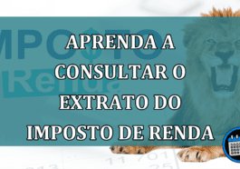 Aprenda a consultar o extrato do Imposto de Renda