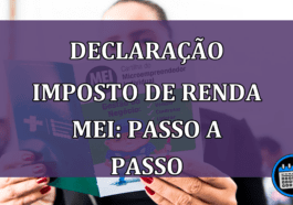 Declaração Imposto de Renda MEI: Passo a Passo