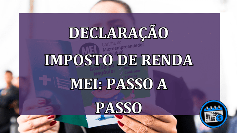 Declaração Imposto de Renda MEI: Passo a Passo