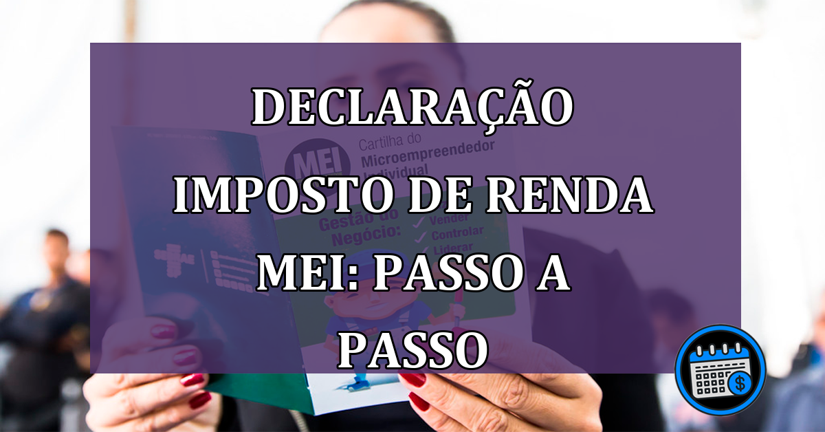 Declaração Imposto de Renda MEI: Passo a Passo